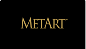 METART PREMIUM 1 MONTH WARRANTY